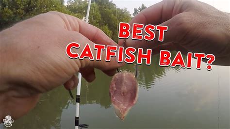 how to catch catfish
